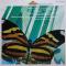 Weber / Clarinet Concerto No.1, etc.
