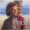 Lee Ritenour In Rio