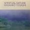 Spiritual Nature