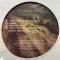 Organic Roots EP