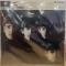 With The Beatles【UK Original/Mono】