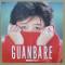 GUANBARE