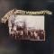 THE MUDDY WATERS WOODSTOCK ALBUM
